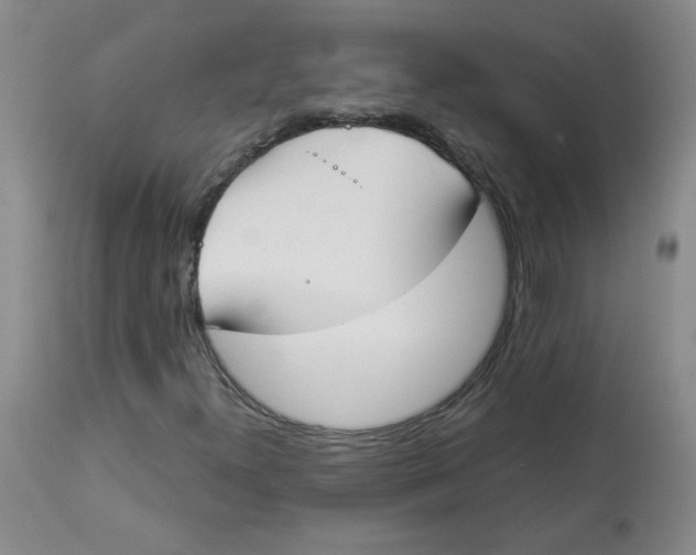 X0000112861300200909111459