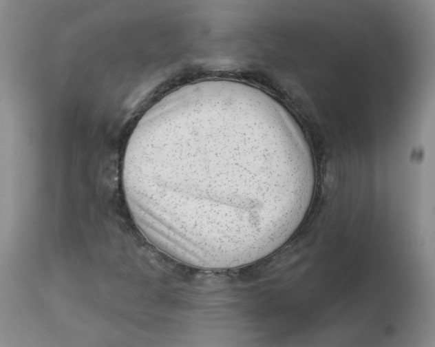 X0000112861301200909111459