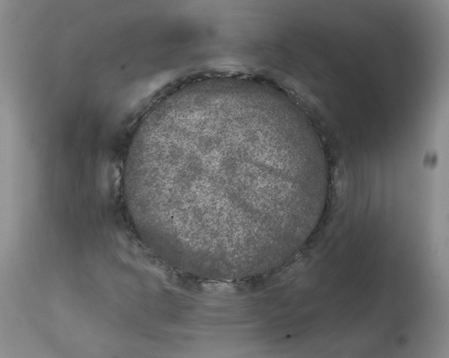 X0000112861302200909111459