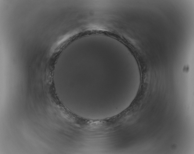 X0000112861303200909111459