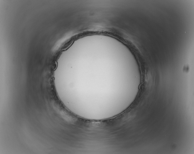 X0000112861304200909111459