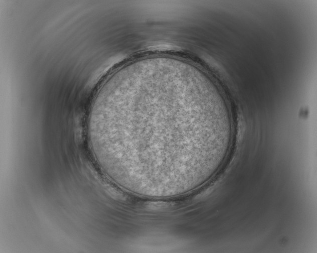 X0000112861305200909111459