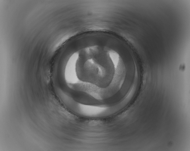 X0000112861306200909111459