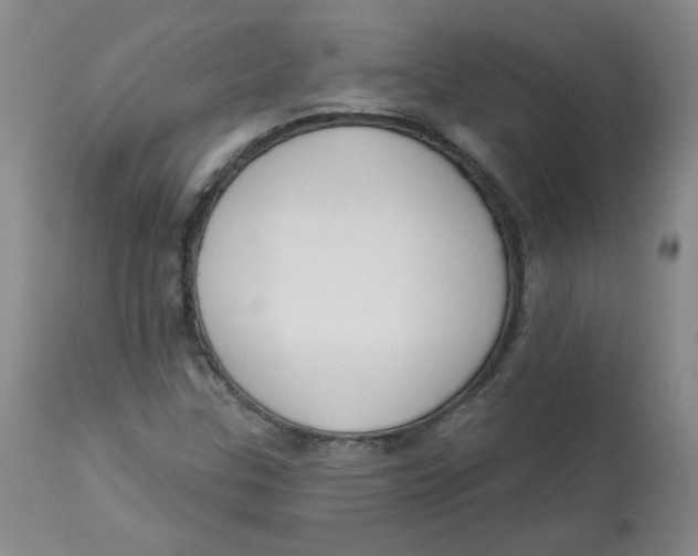 X0000112861307200909111459