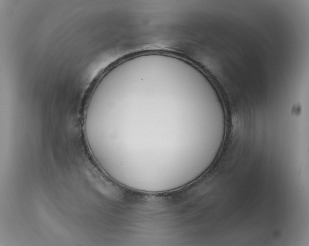 X0000112861308200909111459