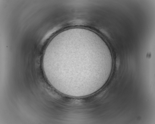 X0000112861309200909111459