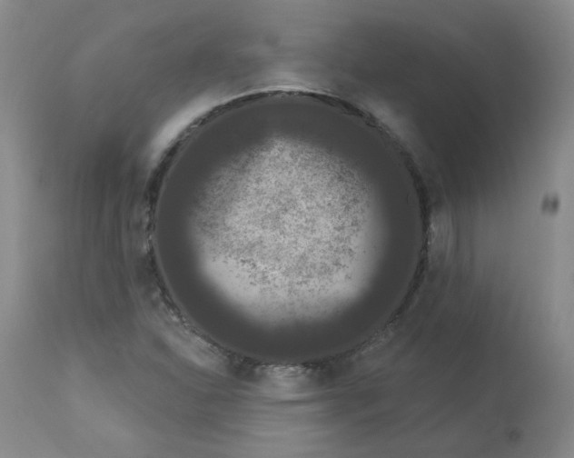 X0000112861310200909111459