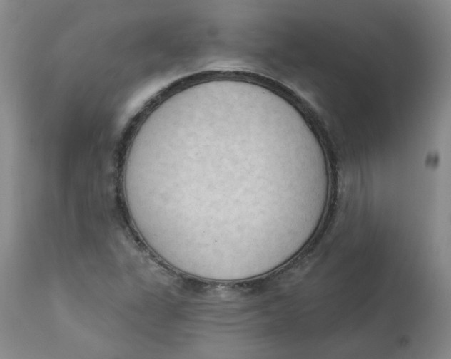 X0000112861311200909111459