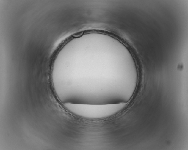 X0000112861312200909111459