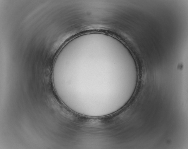 X0000112861313200909111459