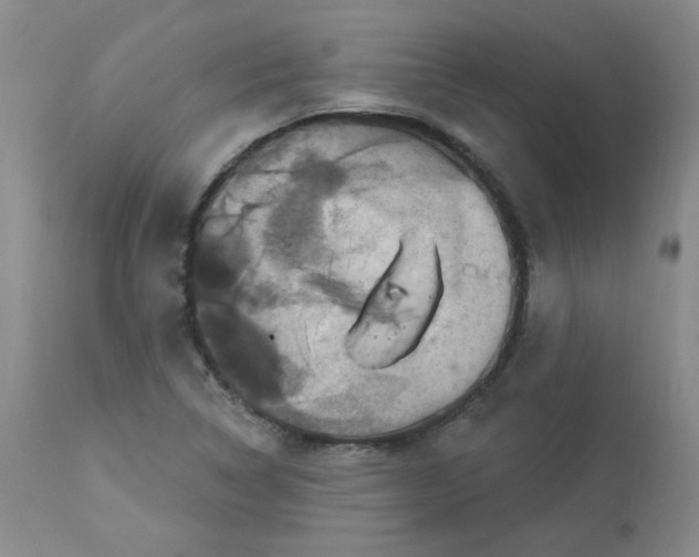 X0000112861314200909111459