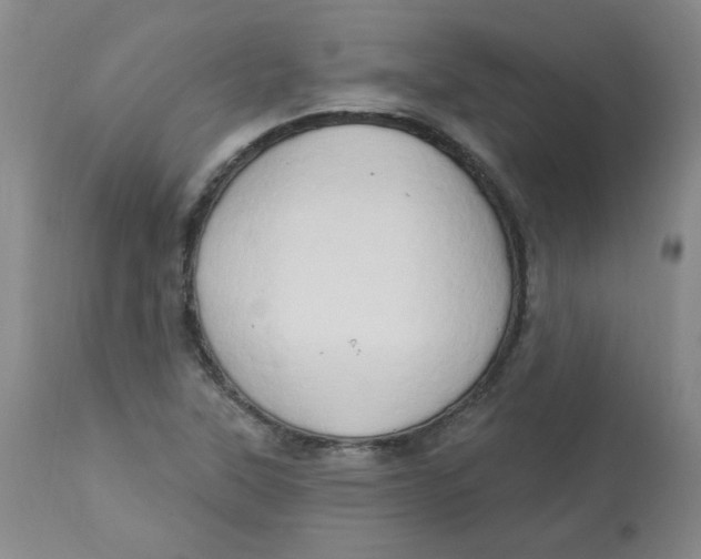 X0000112861315200909111459