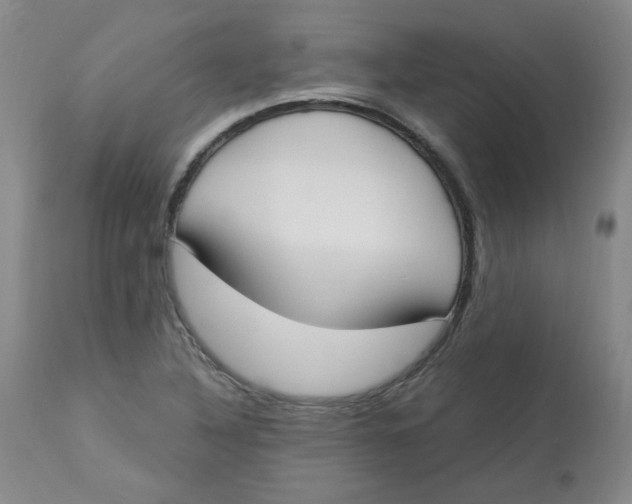 X0000112861316200909111459