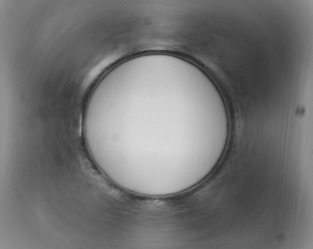 X0000112861317200909111459