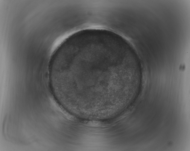 X0000112861319200909111459