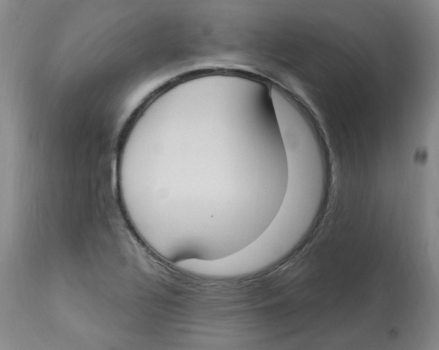 X0000112861320200909111459