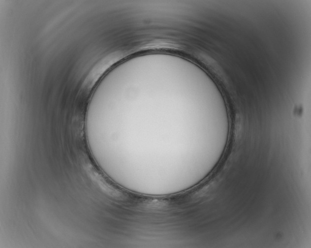 X0000112861321200909111459