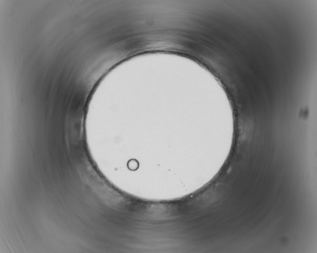 X0000112861322200909111459