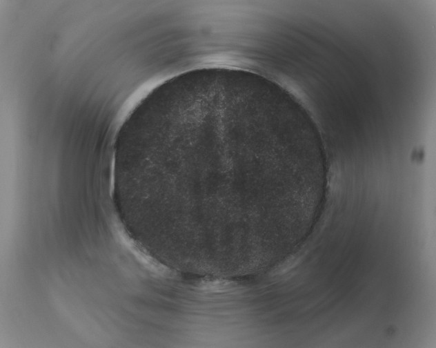 X0000112861323200909111459