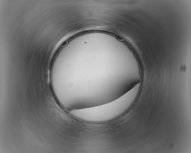 X0000112861324200909111459