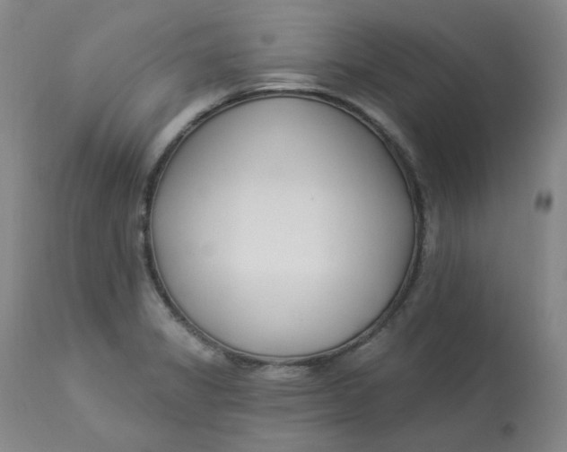 X0000112861325200909111459