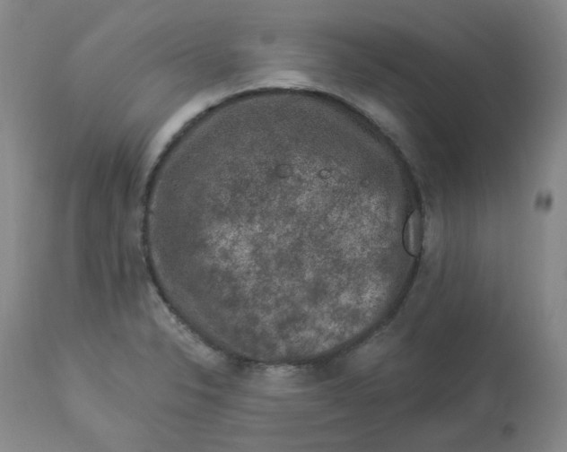 X0000112861326200909111459