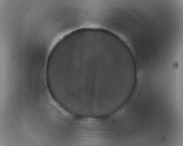 X0000112861327200909111459