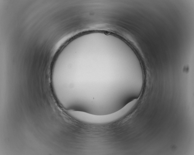 X0000112861328200909111459