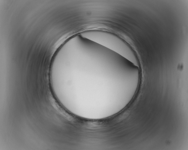 X0000112861330200909111459