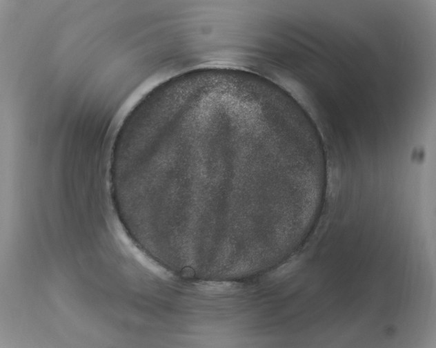 X0000112861331200909111459