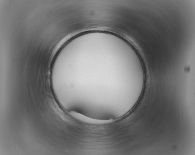 X0000112861332200909111459