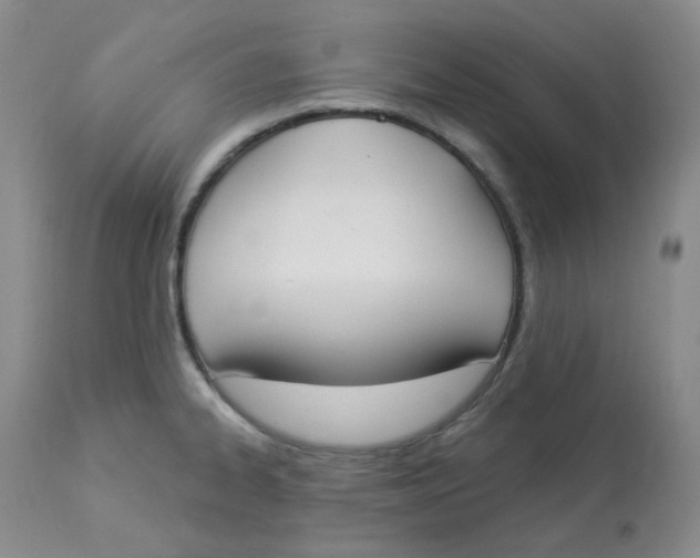 X0000112861334200909111459