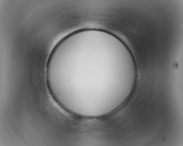 X0000112861335200909111459