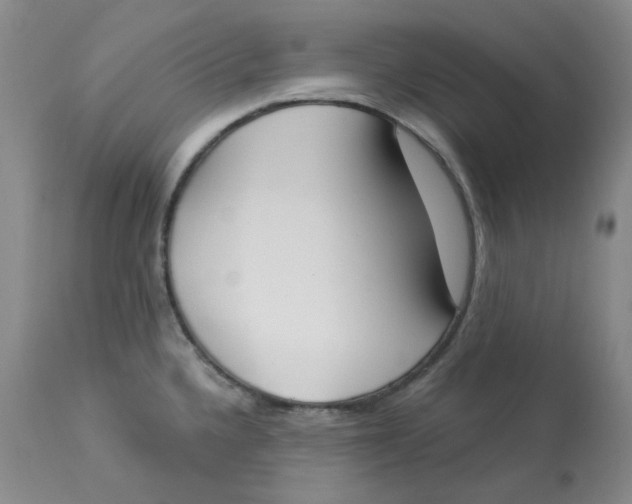 X0000112861336200909111459