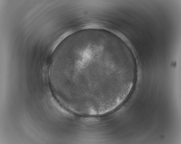 X0000112861337200909111500