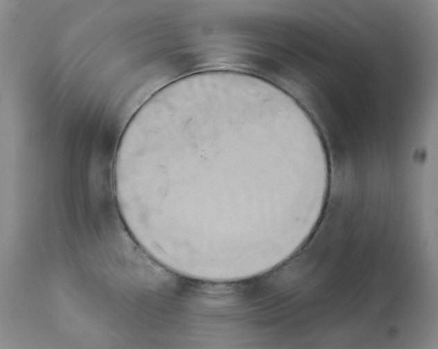 X0000112861338200909111500