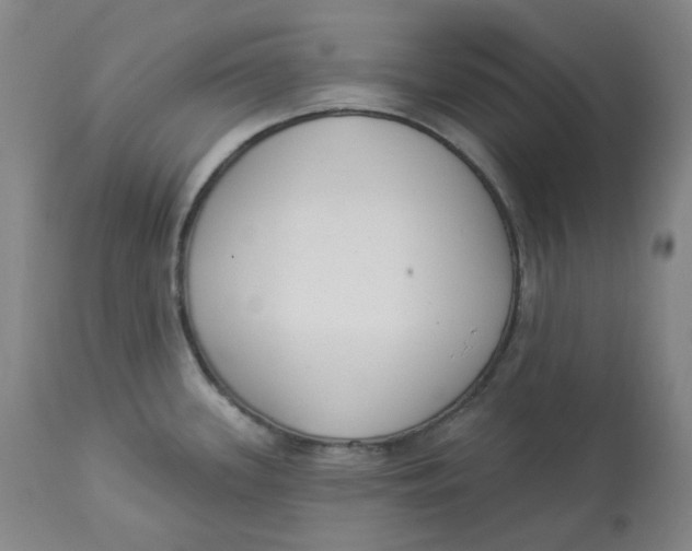 X0000112861339200909111500