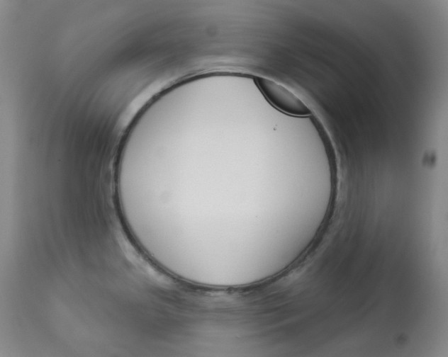 X0000112861341200909111500