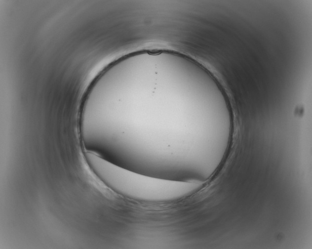 X0000112861342200909111500