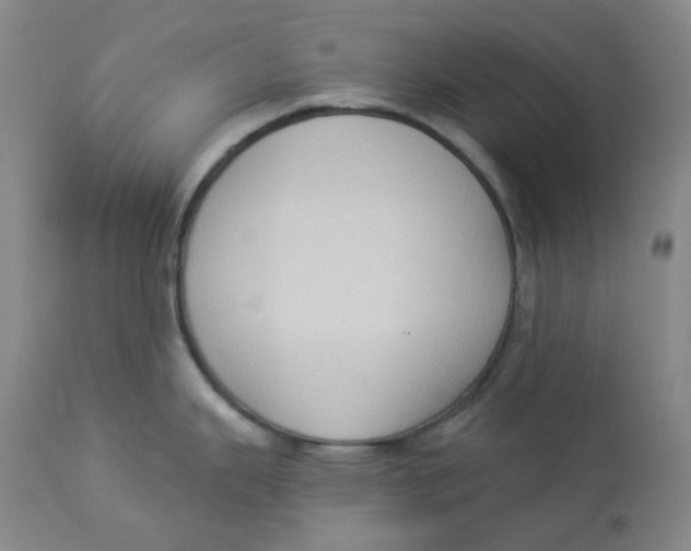 X0000112861343200909111500