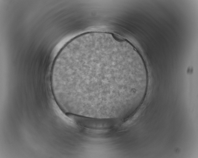 X0000112861344200909111500