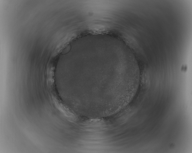 X0000112861346200909111459