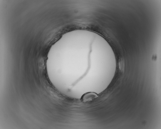 X0000112861347200909111459