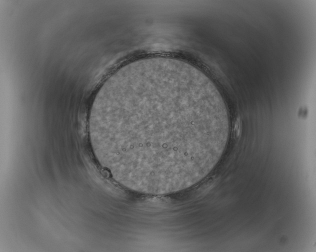 X0000112861348200909111459