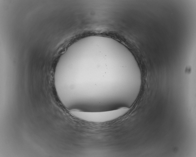 X0000112861349200909111459