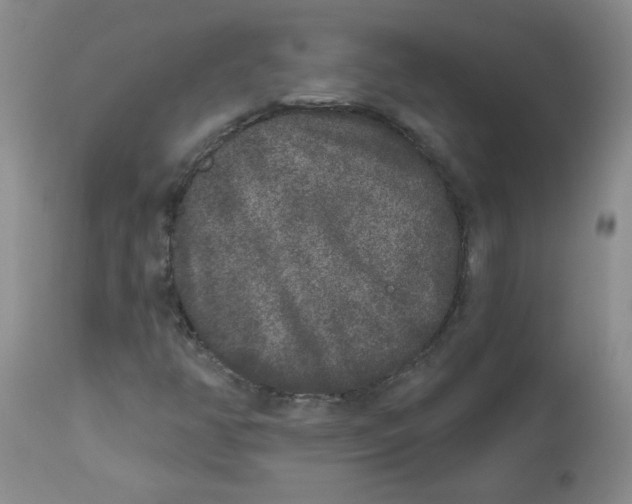 X0000112861350200909111459