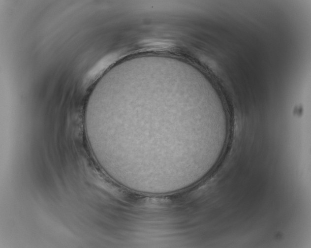 X0000112861354200909111459