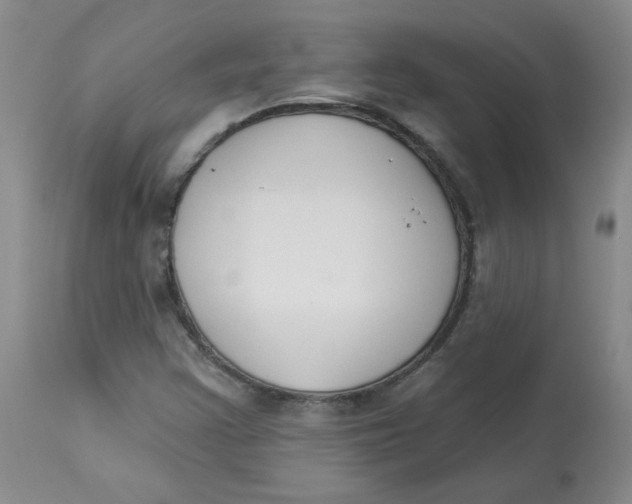 X0000112861355200909111459