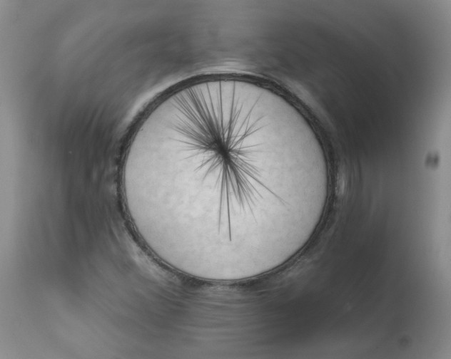 X0000112861356200909111459