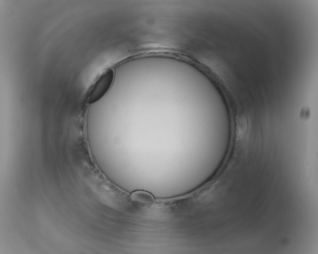 X0000112861357200909111459